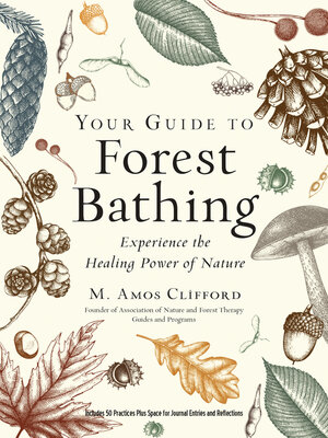cover image of Your Guide to Forest Bathing (Expanded Edition)